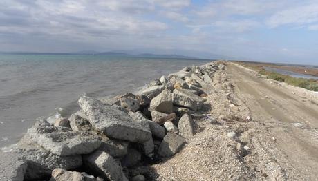 Örnek haber adı gelecek.