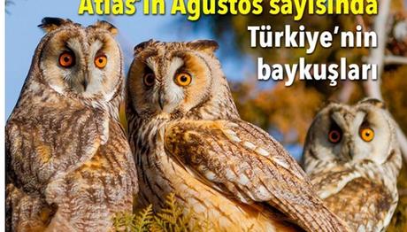 Örnek haber adı gelecek.