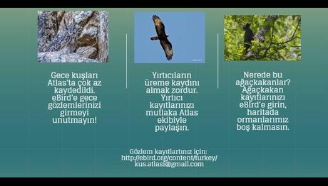 Türkiye Üreyen Kuş Atlası