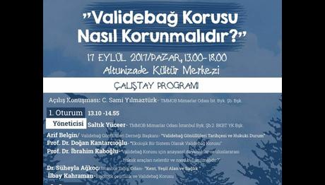 Validebağ Kuşları