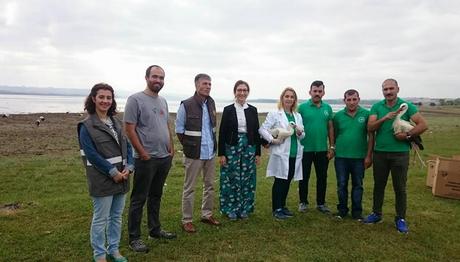 Tedavi Edilen Leylekler