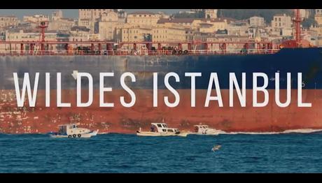 İstanbul'un Yaban Hayatı