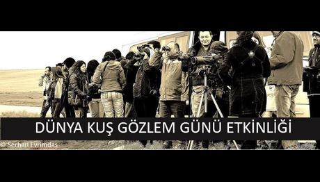 DÜNYA KUŞ GÖZLEM GÜNÜ ODTÜ ETKİNLİĞİ