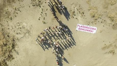 İzmirde Flamingolu Eylem