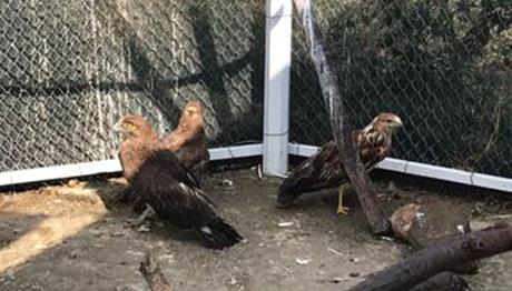 Afyonkarahisar'da Bu Kadarı Da Olmaz Dedirten Olay