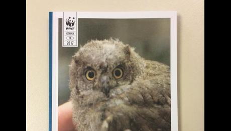 Yabani Hayvanların İlkyardım, Tedavi ve Rehabilitasyonu 