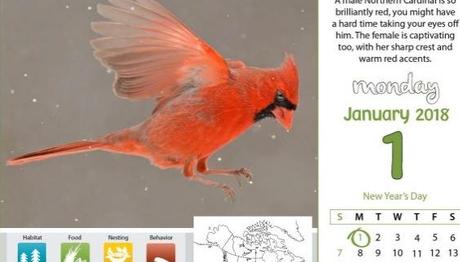 Örnek haber adı gelecek.