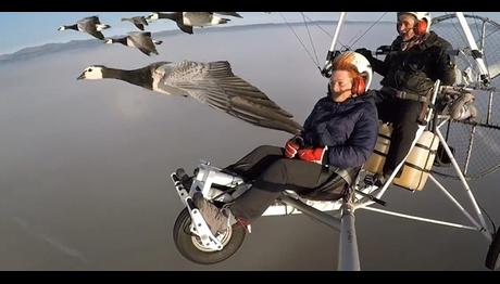 Örnek haber adı gelecek.