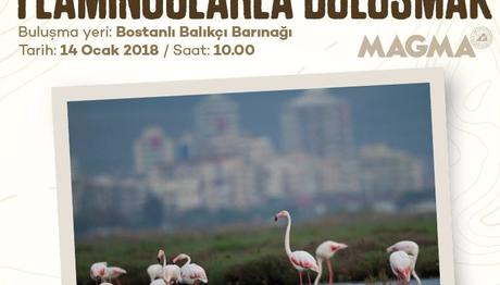 Magma Okur Buluşması