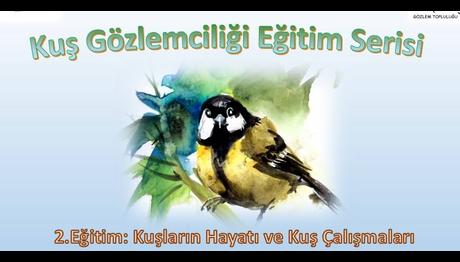 Kuş Gözlemciliği Eğitim Serisi 1. ve 2. Eğitim ve Arazi Eğitimi