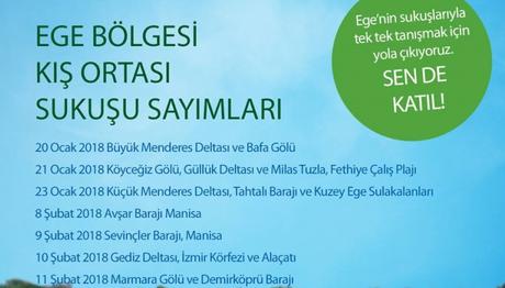 EGE BÖLGESİ KIŞ ORTASI SUKUŞU SAYIMLARI 