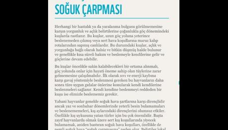 Soğuk havalarda ilk yardım