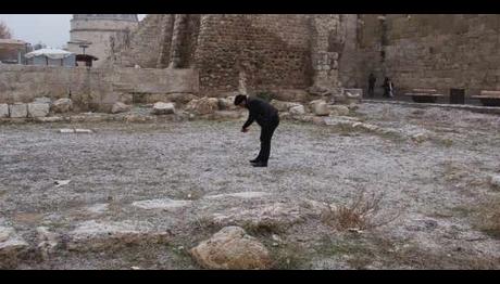 Her şey kuşlar için 