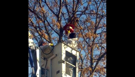 Eyüpsultan'da Farklı Noktalara Kuş Yemlikleri Asıldı