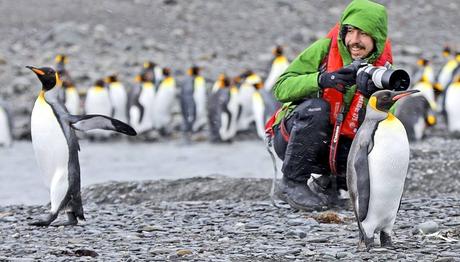 Yoğurtçuoğlu Kuş Misali