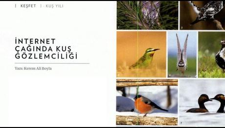 İnternet Çağında Kuş Gözlemciliği