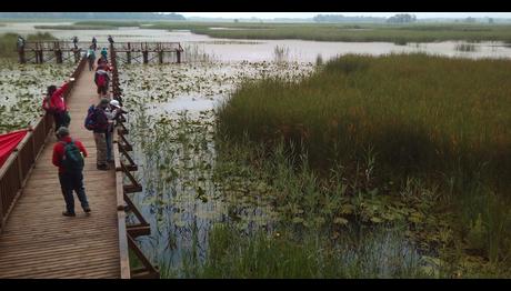 Bugün Dünya Sulak Alanlar Günü
