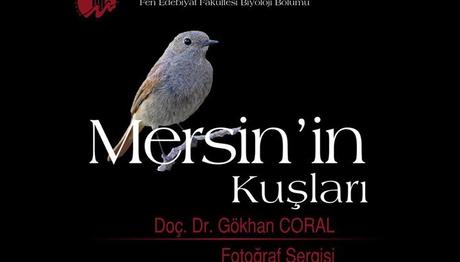MERSİN'İN KUŞLARI FOTOGRAF SERGİSİ