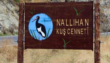 Örnek haber adı gelecek.