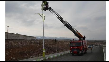 Üniversite kampüsüne leylekler için yuva yapıldı