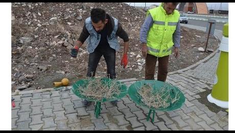 Örnek haber adı gelecek.