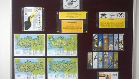 Kültür Dürbün Tam Gaz Devam