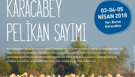 Örnek haber adı gelecek.