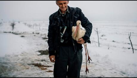 Bulgarlar yıpranmış, donmuş leylekler için seferber oldular 