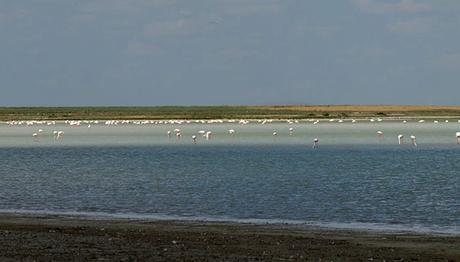 Örnek haber adı gelecek.