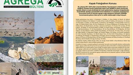 Madencilik Bülteninde Üyemizin Kuş Fotoğraf  ve Gözlemleri