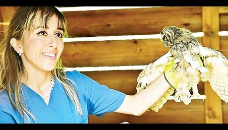 KUŞ CENNETİNDE 2015TEN BU YANA 470 VAKAYA MÜDAHALE