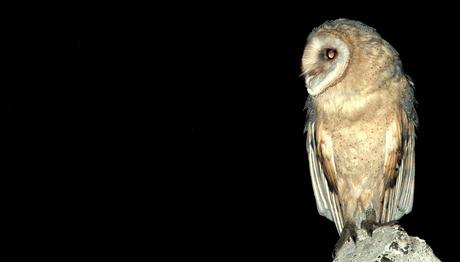 Yeni Halkalama İstasyonu