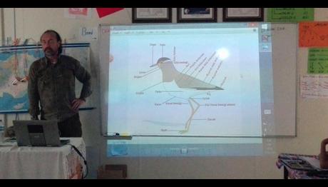 Bir Yerde Kuşlar Varsa Orada Hayat Vardır