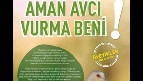 Aman Avcı Vurma Beni!