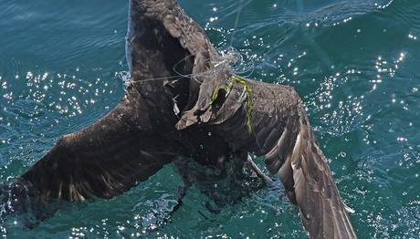 Örnek haber adı gelecek.