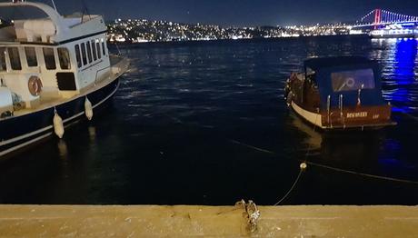 İstanbulda yelkovan kuşu katliamı