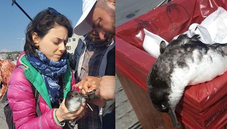 Örnek haber adı gelecek.