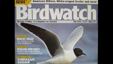 3 TRAKUŞ ÜYESİ 3 NADİR TÜR İLE Birdwatch UK Mayıs sayısında..  