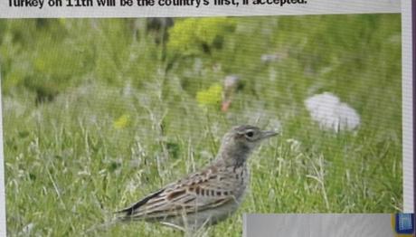 Örnek haber adı gelecek.