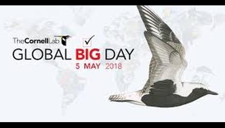 KÜRESEL BÜYÜK GÜN 5 MAYIS 2018 