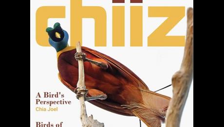 Üyemiz Uluslarası Chiiz Dergisi nde...