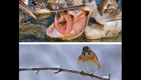 Örnek haber adı gelecek.