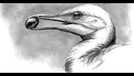 Gagalı ve dişli fosil hem dinozor hem de kuş izleri taşıyor 