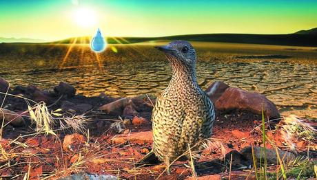 Koyu Yeşil - Belgesel Gösterimleri Antalya Kültür Sanat'ta devam ediyor!