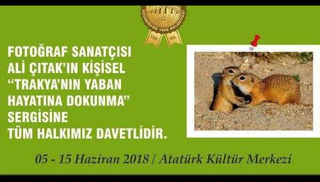 `Trakya'nın Yaban Hayatına Dokunma` Fotoğraf Sergisi
