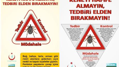  Göçmen Kuşlardaki Kene Yeni Kanamalı Ateş Virüsünü Taşıyabilir