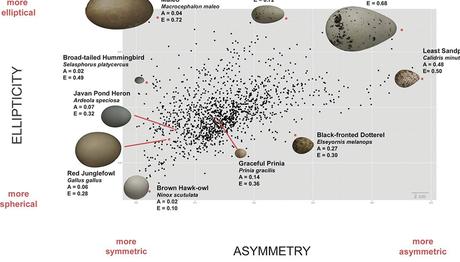 Örnek haber adı gelecek.