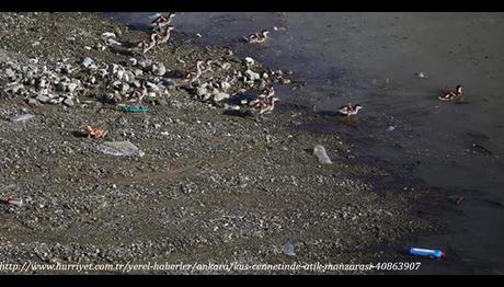 Kuş Cennetinde Atık Manzarası