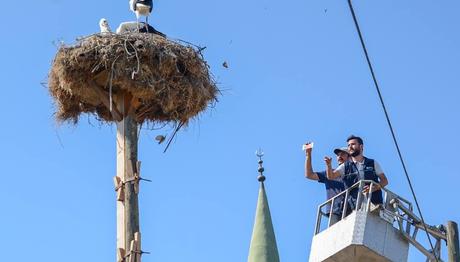 Bu Dünya İçin Güzel Bir Şeyler Yapmak