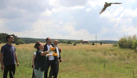 DOĞAL HAYATLARINA KAVUŞTULAR